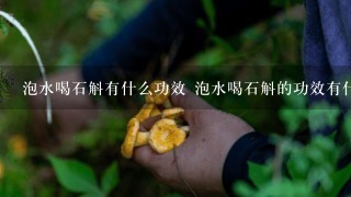 泡水喝石斛有什么功效 泡水喝石斛的功效有什么