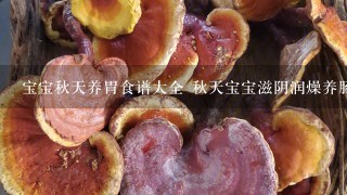 宝宝秋天养胃食谱大全 秋天宝宝滋阴润燥养肠胃食谱集合