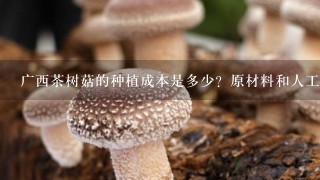 广西茶树菇的种植成本是多少？原材料和人工成本各占比多少？