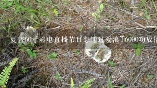 夏普60寸彩电直播节目想通过爱浪T6000功放播放，接线怎么连接法?