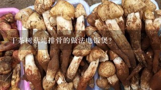 干茶树菇炖排骨的做法电饭煲？