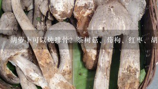 胡萝卜可以炖排骨？茶树菇、苟枸、红枣、胡萝？