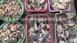 用茶枯水可以打辣椒树上的绿色虫子吗