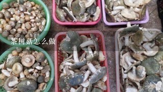 茶树菇怎么做