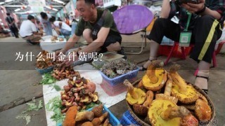 为什么叫金针菇呢？