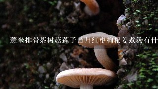 薏米排骨茶树菇莲子当归红枣枸杞姜煮汤有什么功效