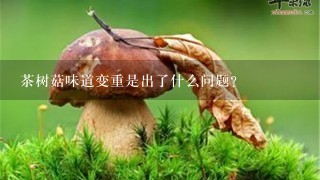 茶树菇味道变重是出了什么问题？