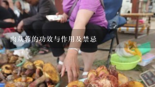 肉苁蓉的功效与作用及禁忌