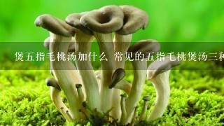 煲五指毛桃汤加什么 常见的五指毛桃煲汤三种做法