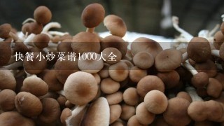 快餐小炒菜谱1000大全