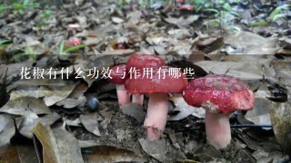 花椒有什么功效与作用有哪些