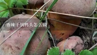 香辣干锅鸭头怎么做