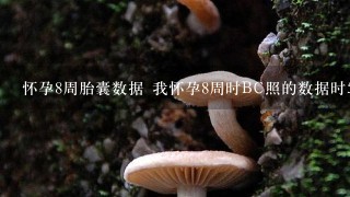 怀孕8周胎囊数据 我怀孕8周时BC照的数据时5.8*2.9 看看是男宝女宝呢？？？