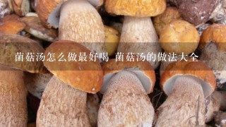 菌菇汤怎么做最好喝 菌菇汤的做法大全