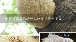 生茶树菇煲鸡汤要先放还是快熟了放