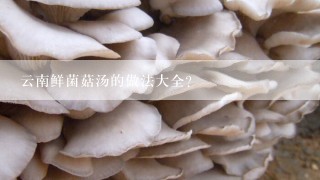 云南鲜菌菇汤的做法大全？