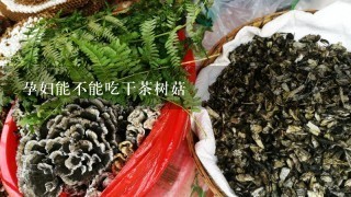 孕妇能不能吃干茶树菇