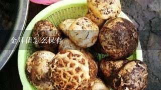 金耳菌怎么保存