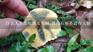 什么人不能吃铁皮石斛,铁皮石斛不适合人群