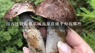 国内比较好的私域流量直播平台有哪些