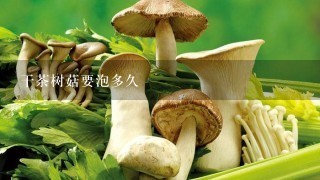 干茶树菇要泡多久