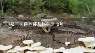 福建三明菌种部具体汇款地址