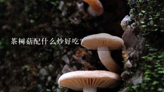 茶树菇配什么炒好吃？