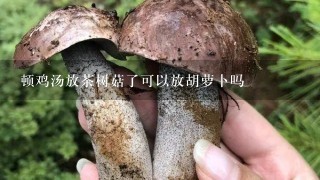 顿鸡汤放茶树菇了可以放胡萝卜吗