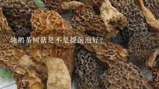 炖鹅茶树菇是不是提前泡好？