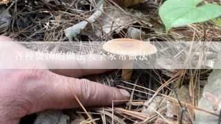 各种煲汤的做法大全家常做法