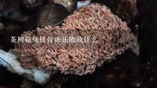 茶树菇炖排骨汤还能放什么