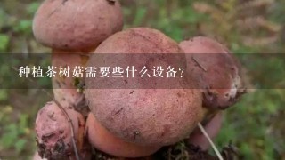 种植茶树菇需要些什么设备？