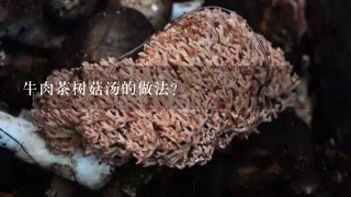 牛肉茶树菇汤的做法？