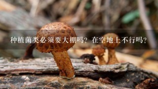 种植菌类必须要大棚吗？在空地上不行吗？