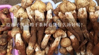 给孩子煲汤用干茶树菇煲什么汤好喝？