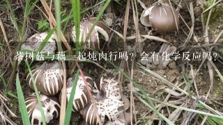 茶树菇与藕一起炖肉行吗？会有化学反应吗？