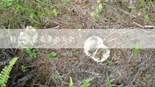 特色家常菜菜谱大全