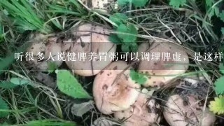 听很多人说健脾养胃粥可以调理脾虚，是这样吗？需要哪些食材呢？