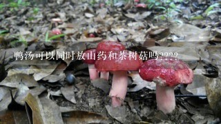 鸭汤可以同时放山药和茶树菇吗????