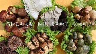 茶树菇和人参、枸杞、姜和鸭子一起煮可以吗？有什么