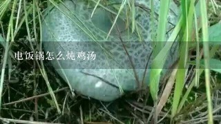 电饭锅怎么炖鸡汤