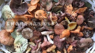 茶树菇排骨汤高压锅压多久