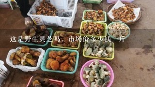 这是野生灵芝吗，市场价多少钱一斤