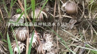 详细的家庭蘑菇种植浇水方法？