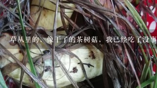 草从里的，像干了的茶树菇，我已经吃了没事。这是什么菇，有无副作用！