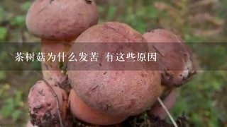 茶树菇为什么发苦 有这些原因