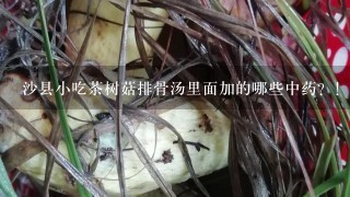 沙县小吃茶树菇排骨汤里面加的哪些中药？！