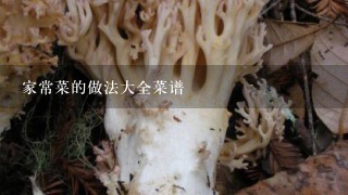 家常菜的做法大全菜谱