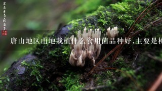 唐山地区山地栽植什么食用菌品种好,主要是桃树下