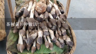 茶树菇10种做法？